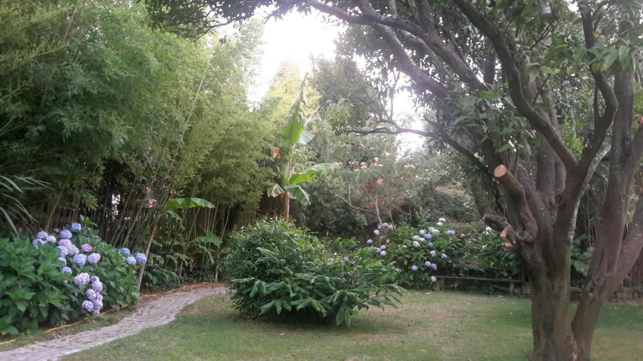 Casa 3 Aguias Bed & Breakfast Aveiro Bagian luar foto
