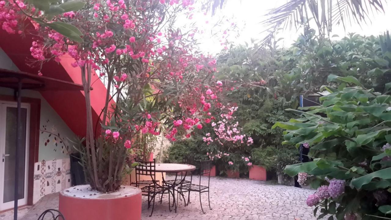 Casa 3 Aguias Bed & Breakfast Aveiro Bagian luar foto