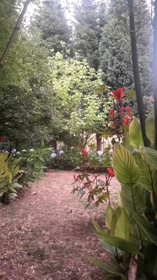 Casa 3 Aguias Bed & Breakfast Aveiro Bagian luar foto